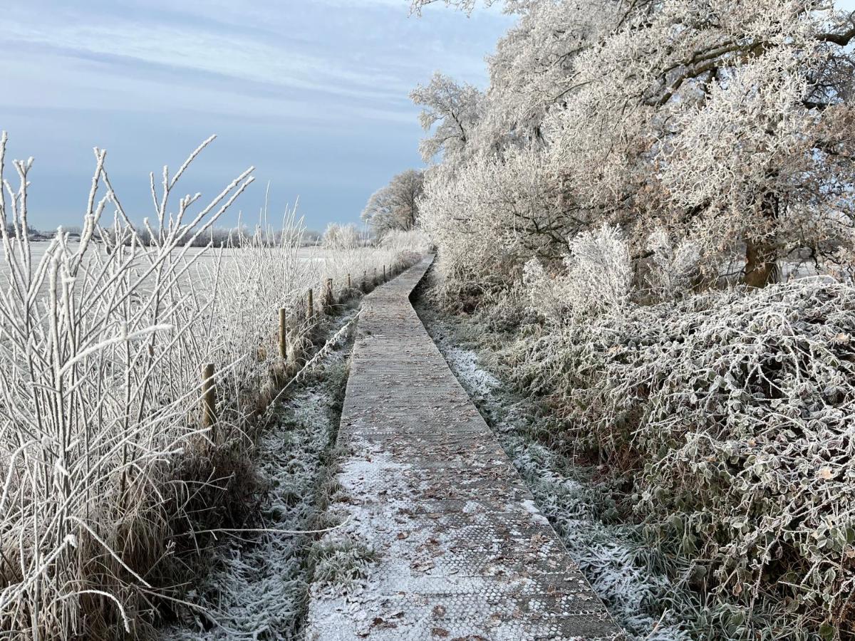 Sfeervol Familielandhuis In De Groene Kempen Baarle-Hertog Exteriér fotografie