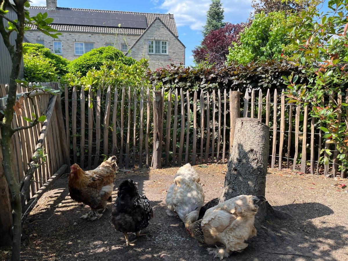 Sfeervol Familielandhuis In De Groene Kempen Baarle-Hertog Exteriér fotografie